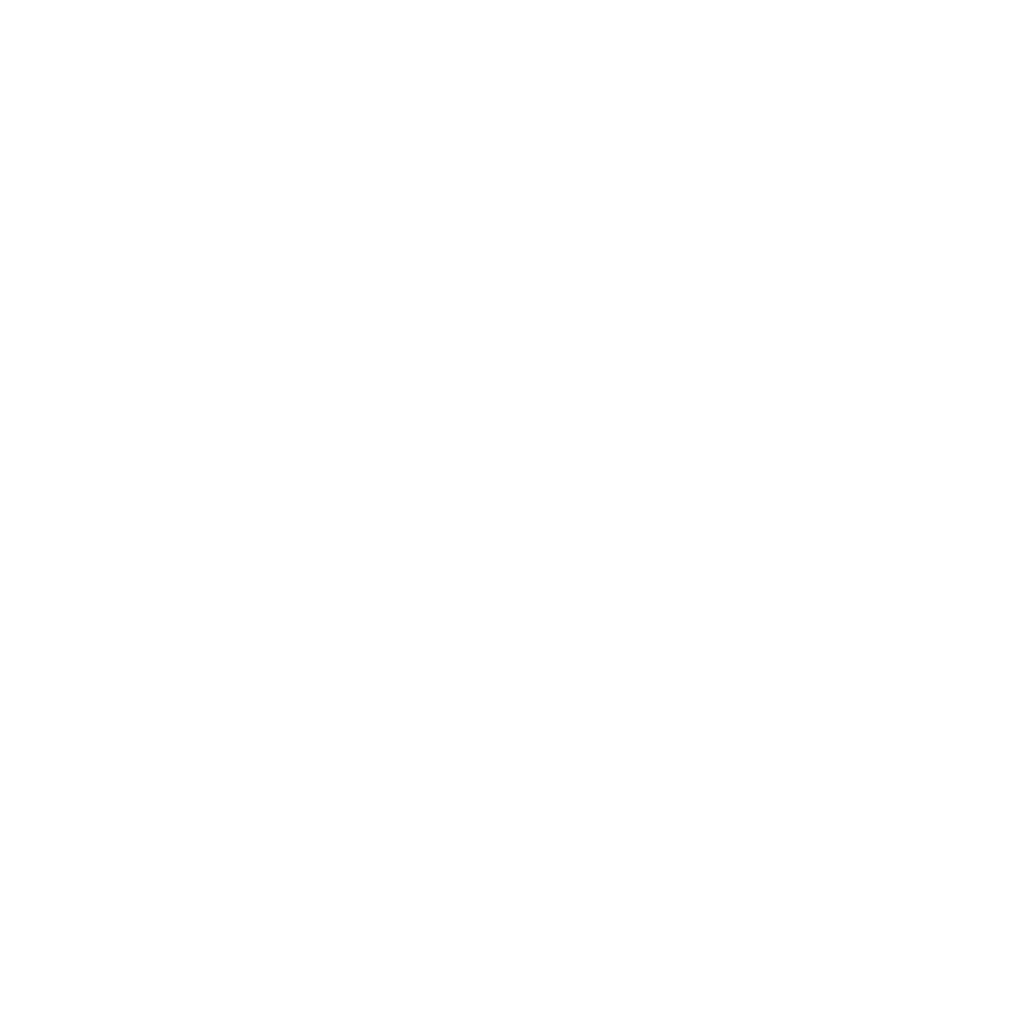 Princeton Premier Home Group logo