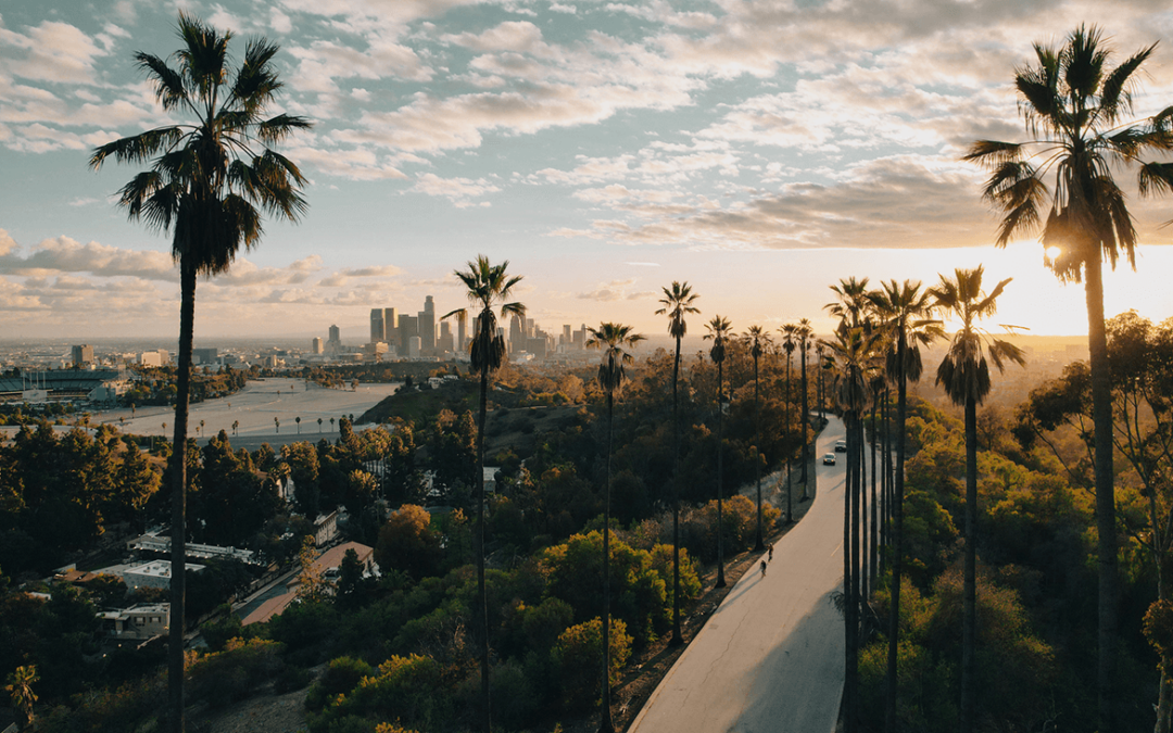 Palm tree-lined road with Los Angeles skyline at sunset