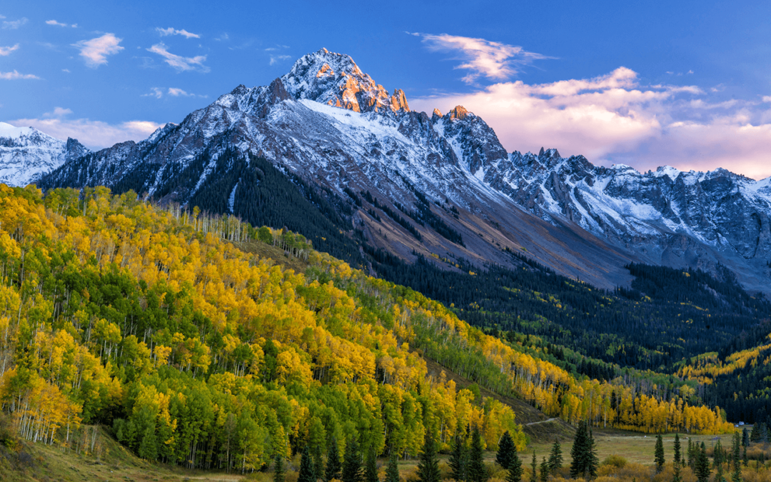 Snow-capped mountain with golden aspen trees in Colorado