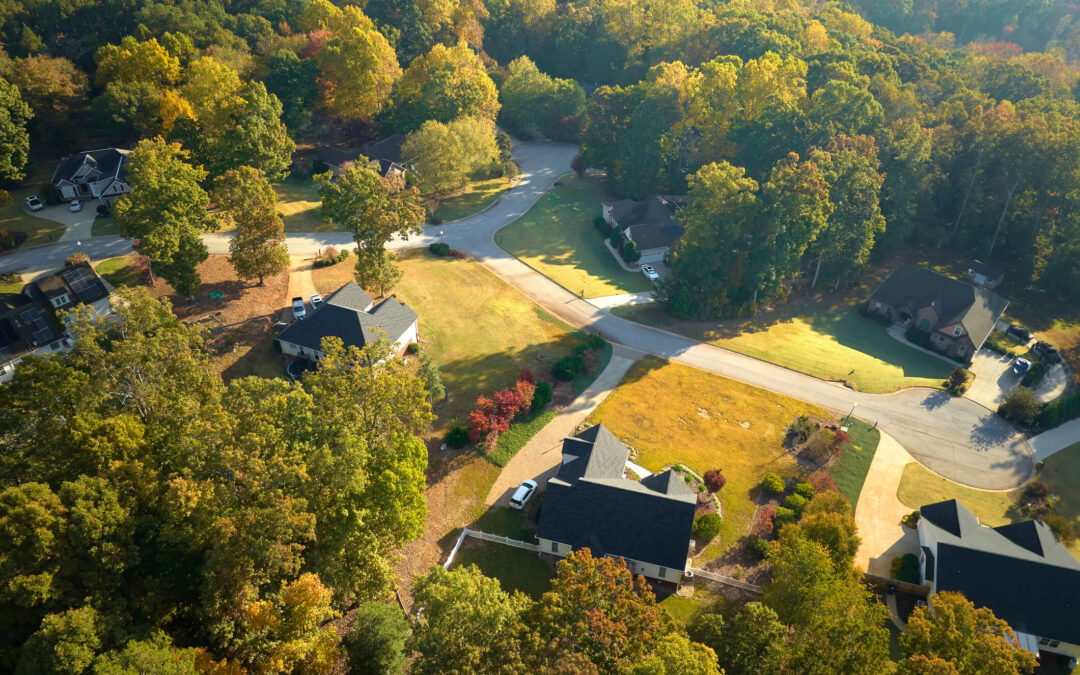 Aerial view of a residential neighborhood surrounded by trees in Statesville, North Carolina, with houses spaced apart and winding roads.